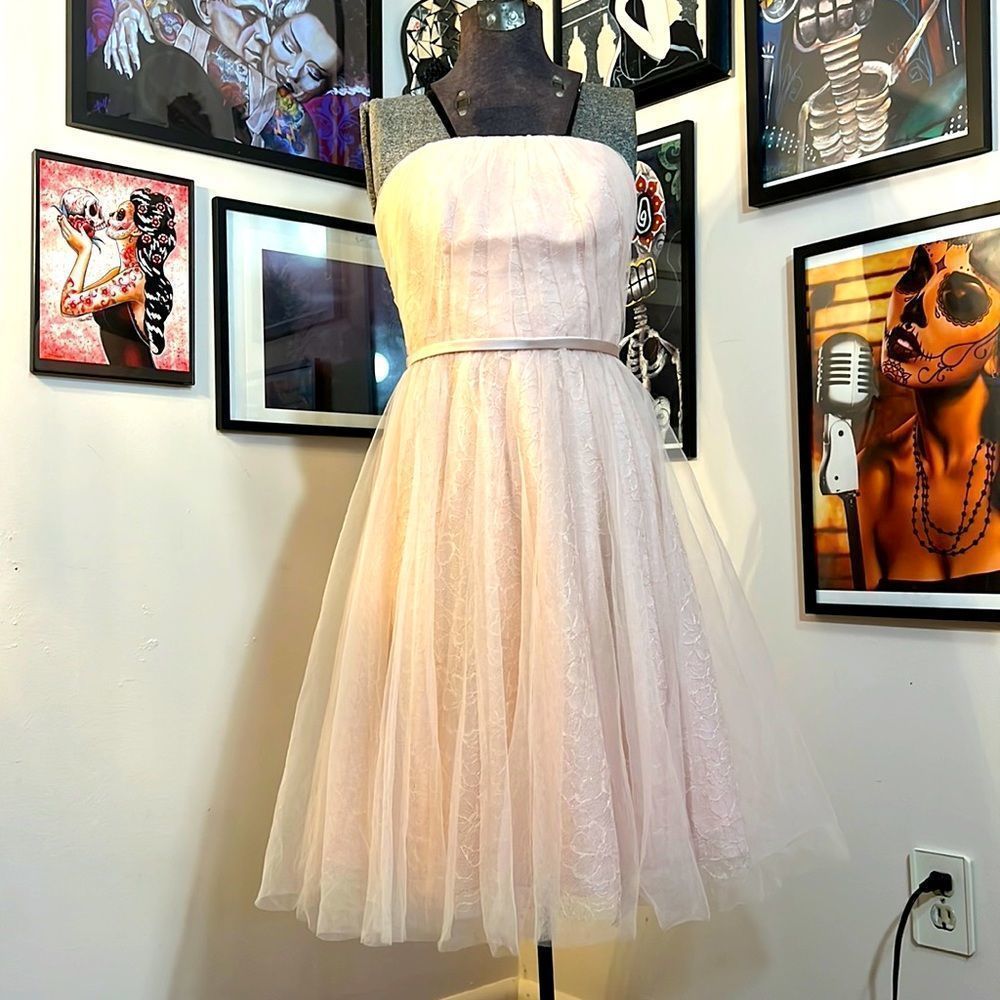 Simply White by Vera Wang Blush Pink Tulle Lace Strapless Mini Dress Size 2